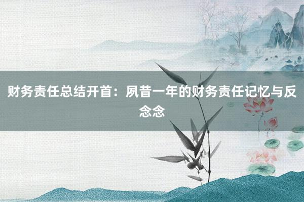 财务责任总结开首：夙昔一年的财务责任记忆与反念念