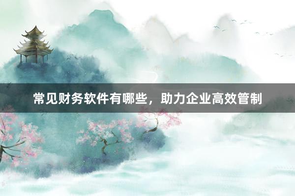 常见财务软件有哪些，助力企业高效管制