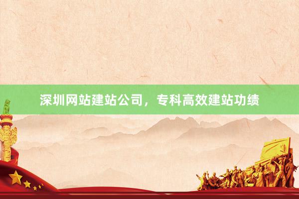 深圳网站建站公司，专科高效建站功绩