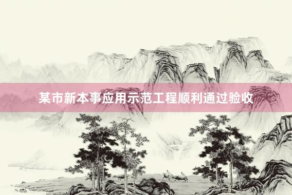 某市新本事应用示范工程顺利通过验收