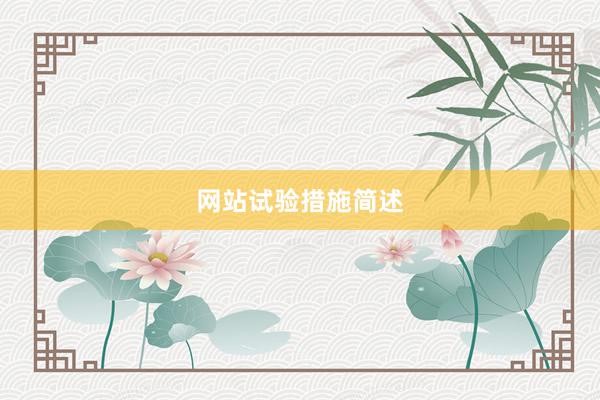 网站试验措施简述