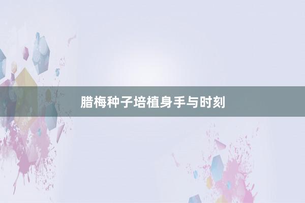 腊梅种子培植身手与时刻